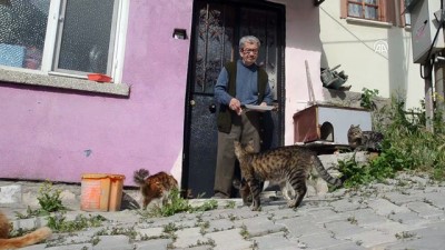 yavru kedi - Sokak kedilerine hem evlerini hem gönüllerini açtılar - KÜTAHYA  Videosu