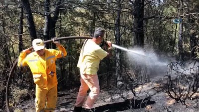  Seydikemer'de çıkan yangın 2 hektar alana zarar verdi