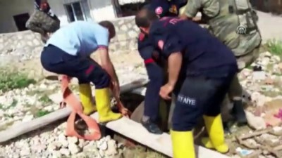 jandarma - Kuyuya düşen eşek kurtarıldı - MARDİN Videosu