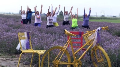 yoga egitmeni - Lavanta tarlasında yoga yaptılar - EDİRNE  Videosu