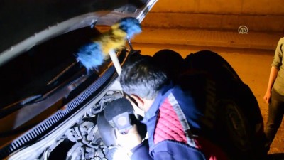 kisla - Kedi kurtarma operasyonu - AĞRI  Videosu