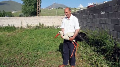 gezin - Yolda bulduğu leyleği evinde besliyor - VAN  Videosu