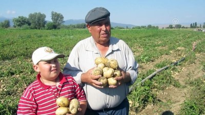 bismillah - Patates hasadı başladı - AFYONKARAHİSAR Videosu