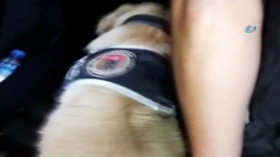 ic camasiri -  İç çamaşırından eroin çıktı  Videosu