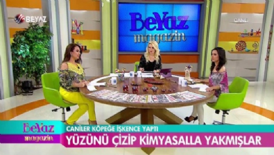 Caniler köpeğe işkence yaptı 