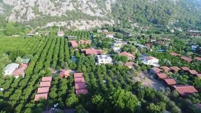 kooperatif - 'Caretta muhtarı'nın yaşam nöbeti- ANTALYA  Videosu