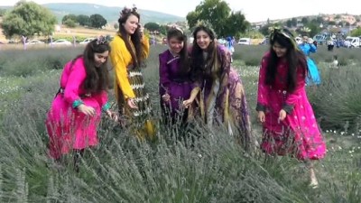 kooperatif -  Karesi'de lavanta hasadı yapıldı Videosu