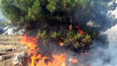 bild -  Orman yangını söndürüldü Videosu
