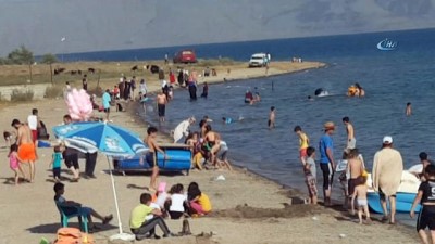 isaf -  Sıcaktan bunalanlar kendini Van Gölü’nün serin sularına bırakıyor  Videosu