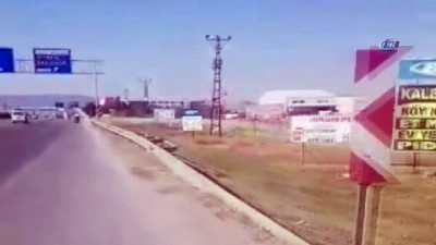 amator kamera -  Şehre inen domuz sürücülere zor anlar yaşattı  Videosu