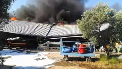 bild -  Tekstil fabrikasında büyük yangın  Videosu