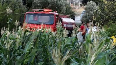 tarim arazisi - Bodrum'da tarım arazisi ve otluk alanda yangın - MUĞLA Videosu