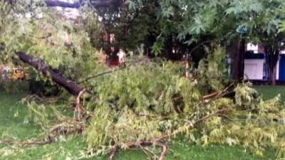 yuruyus yolu -  Erzincan’da fırtına ve yağış ağaçları devirdi Videosu