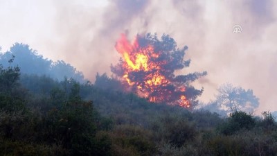 orman alani - Amanos Dağları'nda çıkan orman yangını (2) - HATAY Videosu
