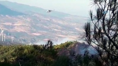 orman alani -  Hatay’da orman yangınında soğutma çalışmaları başladı Videosu