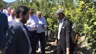 demirli -  Bakan Pakdemirli Yozgat'ta meyve bahçesini gezdi Videosu