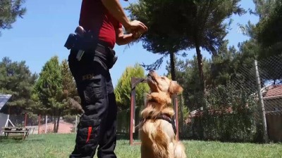 kacakcilik - Emniyetin hassas burunları eğitimde - İZMİR  Videosu