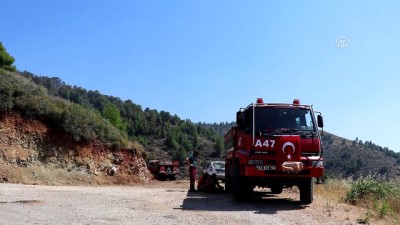 orman alani - Hatay'daki orman yangınının ardından  Videosu