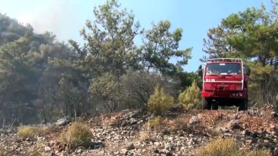 orman yangini - Seydikemer'de çıkan orman yangını kontrol altına alındı - MUĞLA Videosu