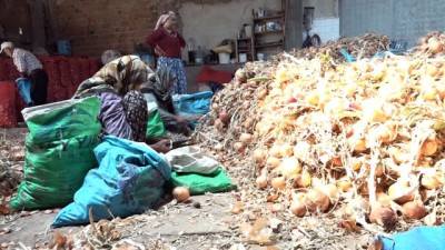 market -  Soğanda parayı aracılar kazanıyor  Videosu