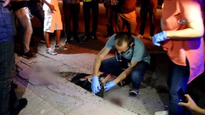 zabita -  Vicdansız sürücü köpeğe çarpıp kaçtı  Videosu