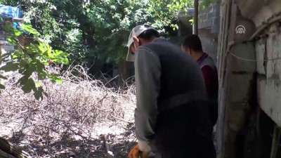 ayetler - Diyarbakır'da akreple mücadeleye özel ekip  Videosu