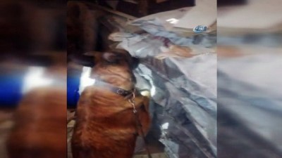 soba kovasi -  Evin kömürlüğünde 1 buçuk kilogram eroin bulundu  Videosu