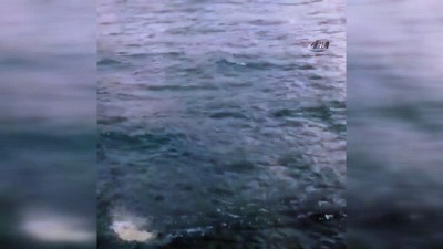 balik avi -  - Karadeniz’de Çıkan Hortumlar Rus Balıkçılara Zor Anlar Yaşattı  Videosu