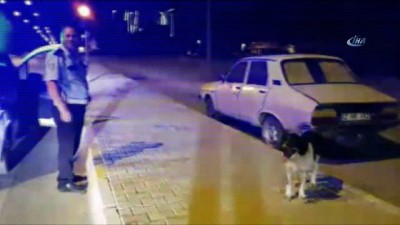 sempatik -  Kilometrelerce polis aracının peşinden koştu  Videosu