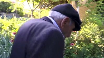 2008 yili - Saz ustası Hayri Dev hayatını kaybetti - DENİZLİ  Videosu