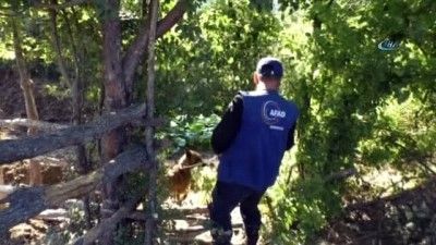 komando -  Evrim’i kadavra köpeği Mavi, mezarlıkta aradı  Videosu