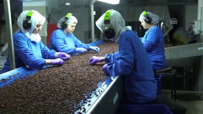 organik meyve - 'Mutlu Köy'le gelen ihracat başarısı - İZMİR  Videosu
