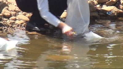 amator balikci -  Terörün yerini huzura bırakmasıyla yaylalar ile birlikte nehir ve göller de şenlendi  Videosu