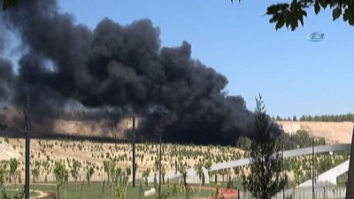 orman yangini -  Şanlıurfa'da ormanlık alanda çıkan yangın atış poligonuna sıçradı Videosu