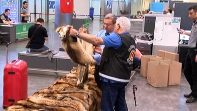 gumruk muhafaza -  Atatürk Havalimanı’nda kaçak kürk operasyonu  Videosu