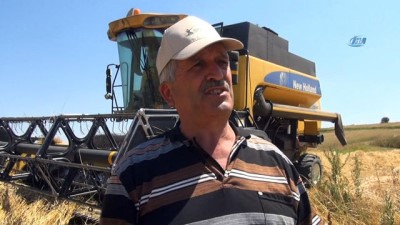 kromozom -  Buğdayın atası ‘siyez’in hasadı devam ediyor  Videosu
