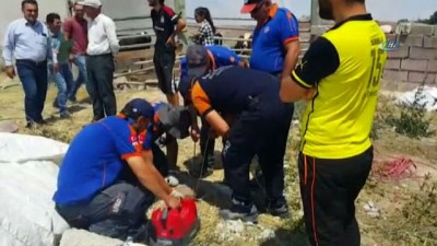 mustakil ev -  7 metrelik kuyuya düşen yavru köpek AFAD tarafından kurtarıldı  Videosu
