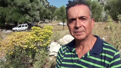 destina - 'Turist doğayla baş başa kalmak istiyor' - ANTALYA  Videosu