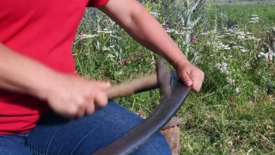 yaz mevsimi - Kadınların 'tırpan' mesaisi - KARS  Videosu