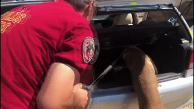 polis kopegi -  Otomobilde bin 403 adet uyuşturucu hap ele geçirildi  Videosu