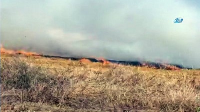 aniz yangini -  Silivri'de korkutan anız yangını
- Rüzgarında etkisiyle büyüyen alevler, yerleşim yerlerine yöneldi Videosu