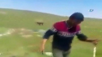 sosyal paylasim sitesi -  Kars'ta, eşeğe işkence yaptılar  Videosu