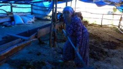 insaat alani -  Kayıp Evrim’i balık adamlar arıyor Videosu