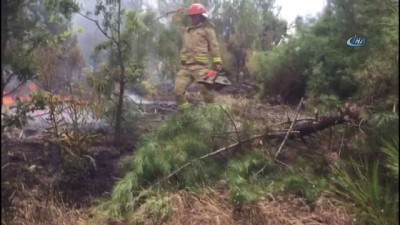  Kızılçam ormanındaki yangın kontrol altına alındı