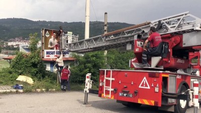 milli futbolcu - Mesut Özil'e memleketi Devrek'ten destek - ZONGULDAK  Videosu