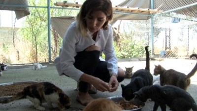 hastalik belirtisi -  Veterinerden hayvanlar için ‘su’ uyarısı  Videosu
