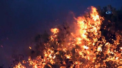 orman yangini -  - Yunanistan’da 3 Günlük Yas İlan Edildi  Videosu