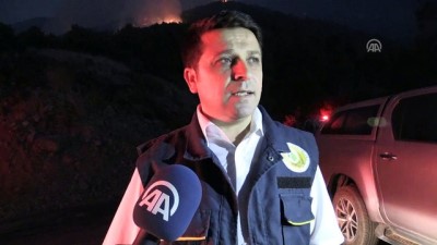 Arsuz'daki orman yangını (2) - HATAY
