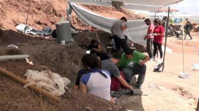 paleontoloji -  Çankırı'da Çorakyerler omurgalı fosil lokalitesi kazıları başladı Videosu