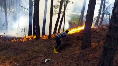 amator kamera -  Tabiat parkında korkutan yangın  Videosu